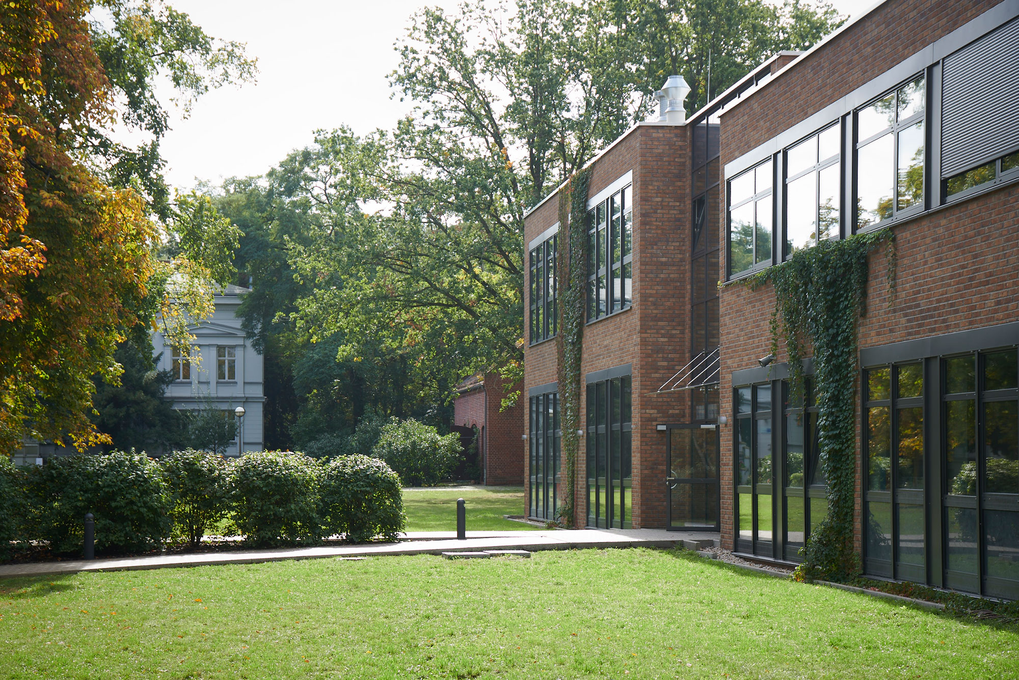 In the right half of the picture, a school building can be seen, with clinker bricks and large window fronts. Surrounded by lawn, trees and bushes. In the background, hidden behind trees, another school building can be seen.